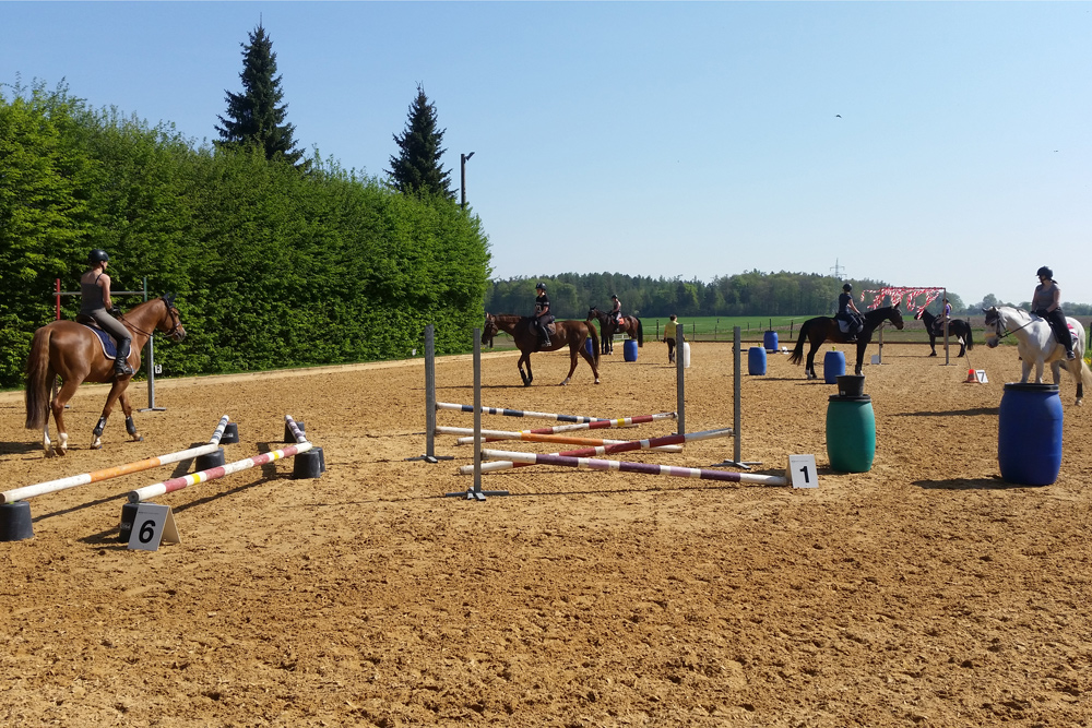 20180422_105053.jpg