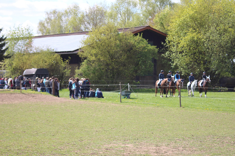reitabzeichen_2017_web03.jpg