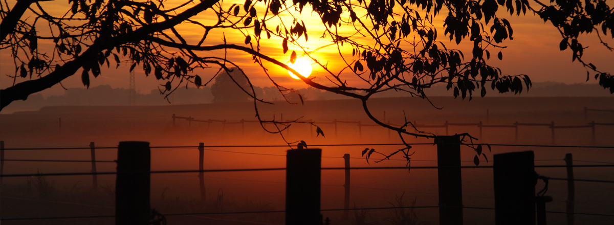 Sonnenuntergang auf der Reitanlage Birkenmayer